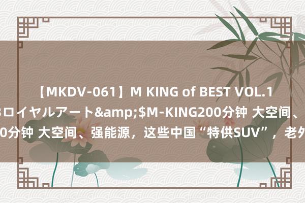 【MKDV-061】M KING of BEST VOL.1</a>2010-11-13ロイヤルアート&$M-KING200分钟 大空间、强能源，这些中国“特供SUV”，老外作念梦齐思要！