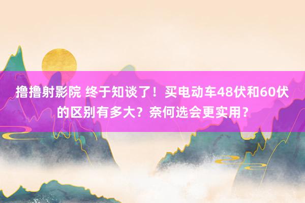 撸撸射影院 终于知谈了！买电动车48伏和60伏的区别有多大？奈何选会更实用？