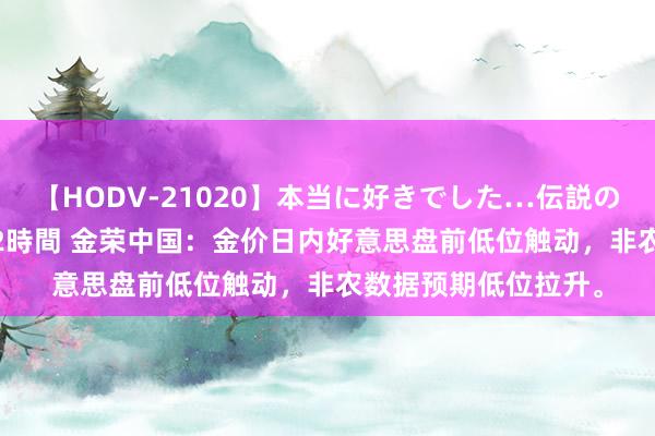 【HODV-21020】本当に好きでした…伝説の清純派AV女優 3人2時間 金荣中国：金价日内好意思盘前低位触动，非农数据预期低位拉升。