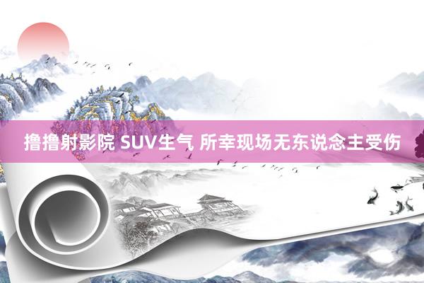 撸撸射影院 SUV生气 所幸现场无东说念主受伤