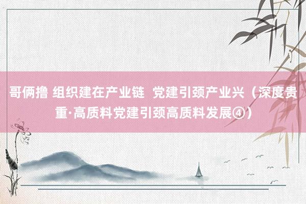 哥俩撸 组织建在产业链  党建引颈产业兴（深度贵重·高质料党建引颈高质料发展④）