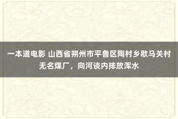 一本道电影 山西省朔州市平鲁区陶村乡歇马关村无名煤厂，向河谈内排放浑水