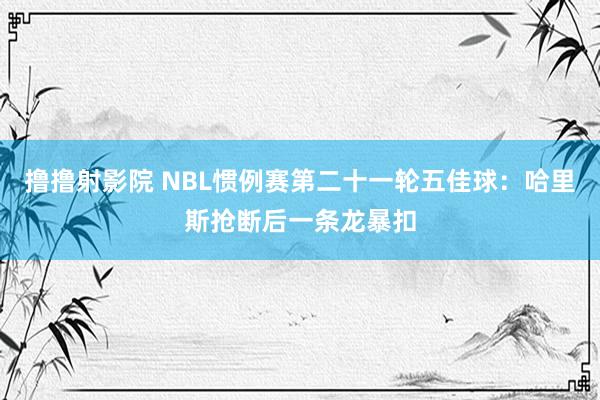 撸撸射影院 NBL惯例赛第二十一轮五佳球：哈里斯抢断后一条龙暴扣