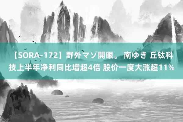 【SORA-172】野外マゾ開眼。 南ゆき 丘钛科技上半年净利同比增超4倍 股价一度大涨超11%